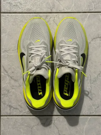 Used Pegasus 42 Running Shoes