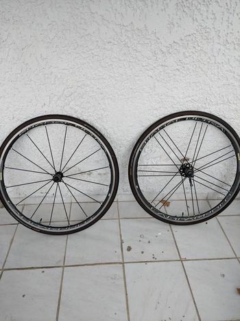 Campagnolo Shamal Ultra C17 2-Way Fit Wheels de segunda mano