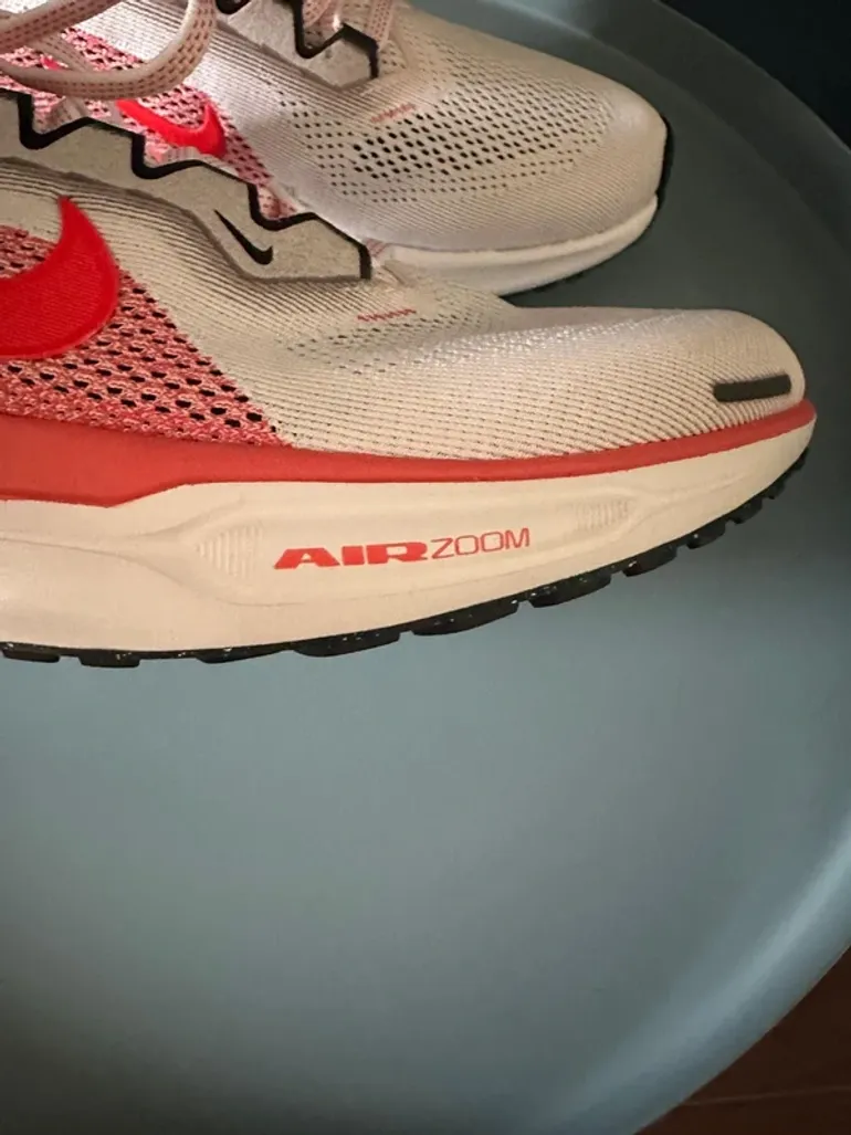 Used Pegasus 41 bike — image 3 of 10