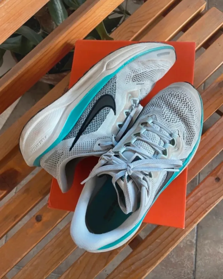 Tweedehands Pegasus Air Zoom 41 bike — afbeelding 2 van 4