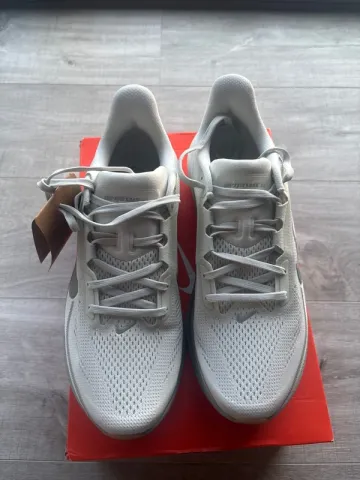 Used Pegasus 42 Running Shoes