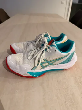 Used Elite Sky FF Volleyball