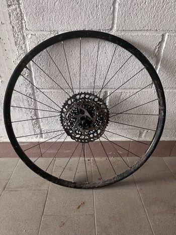 Used Syncros MTB Wheels 29" 2025 bike — image 4 of 5