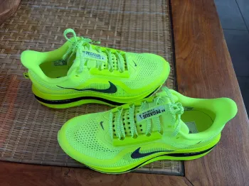 Gebrauchtes Pegasus Premium Running Shoes