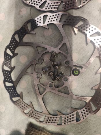Used Galfer Shark Brake Rotor 2025 Brakes
