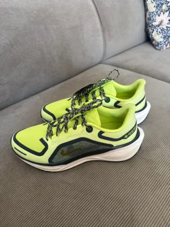 Used Pegasus 41 Gore-Tex Running Shoes