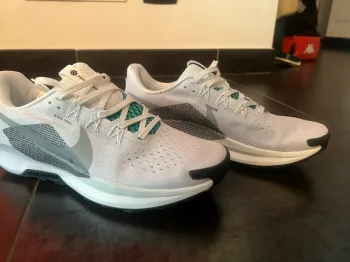 Pegasus Trail 5 Running Shoes d'occasion
