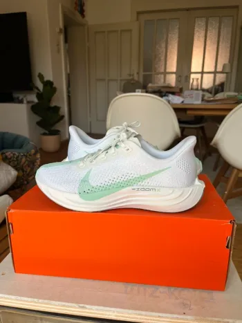 Used Pegasus Plus Running Shoes