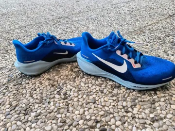 Pegasus 41 Running Shoes d'occasion