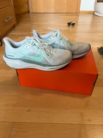 Used Pegasus 41 Running Shoes