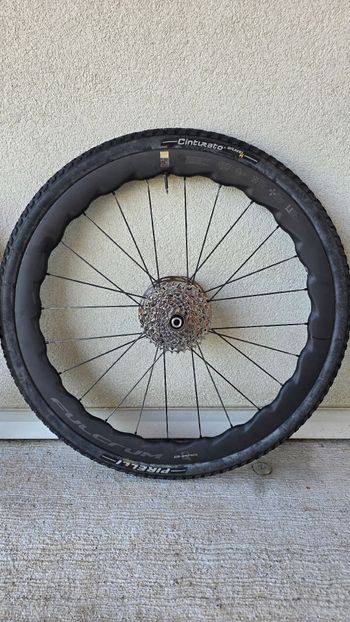 Used Fulcrum shark 2026 Wheels