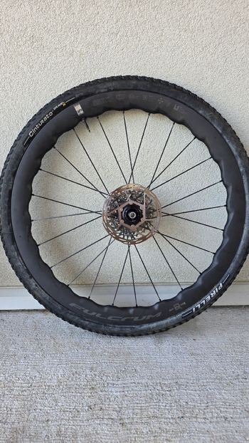 Brugt Fulcrum shark 2026 bike — billede 9 af 15