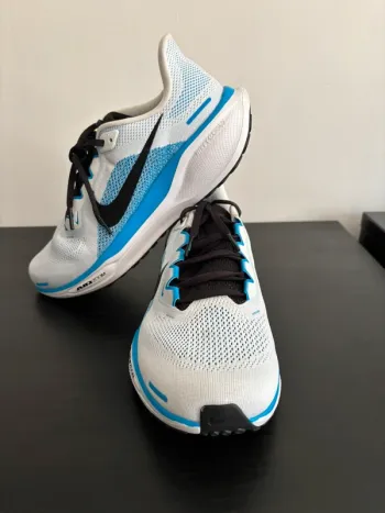 Used Pegasus Air Zoom 41 bike — image 2 of 8