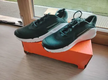 Nike Flex Train Running Shoes d'occasion