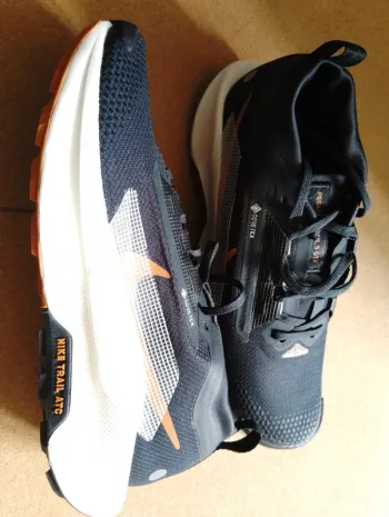 Used Pegasus 5 GTX Running Shoes