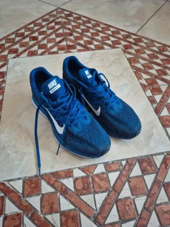 Gebrauchtes Nike Zoom Winflo 5 Running Shoes
