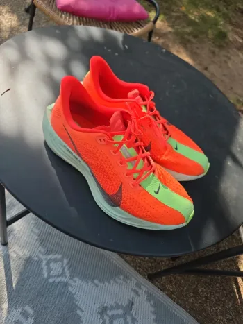 Used Pegasus Plus Running Shoes
