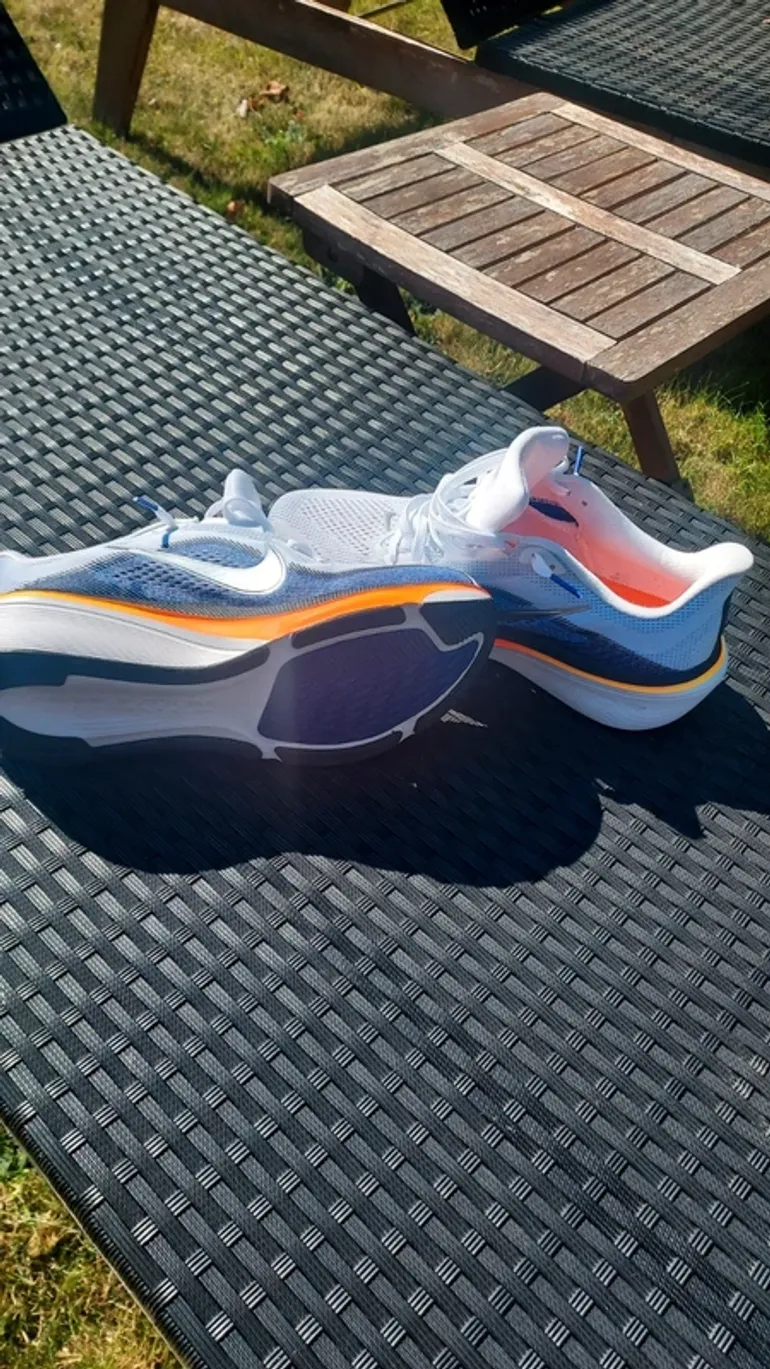 Used Pegasus Air Zoom 42 bike — image 4 of 6