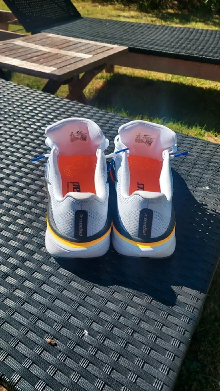 Used Pegasus Air Zoom 42 bike — image 3 of 6