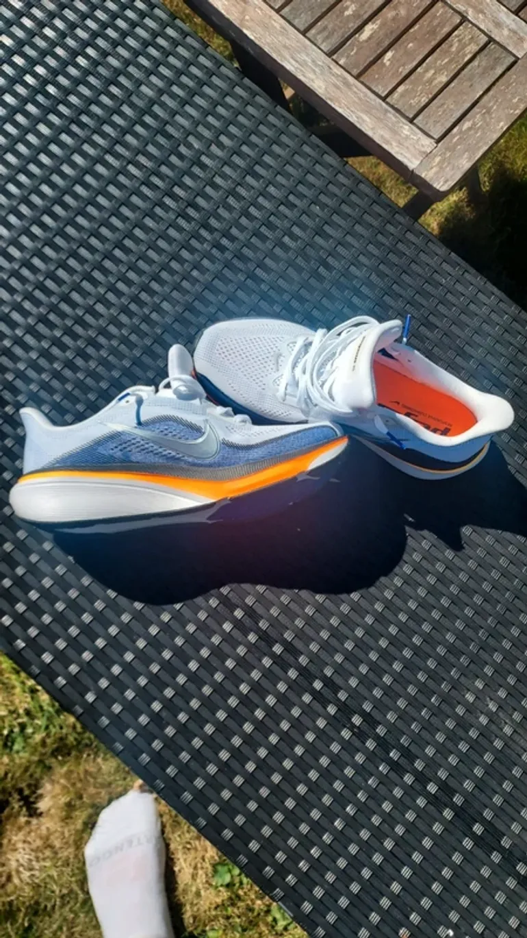 Used Pegasus Air Zoom 42 bike — image 5 of 6
