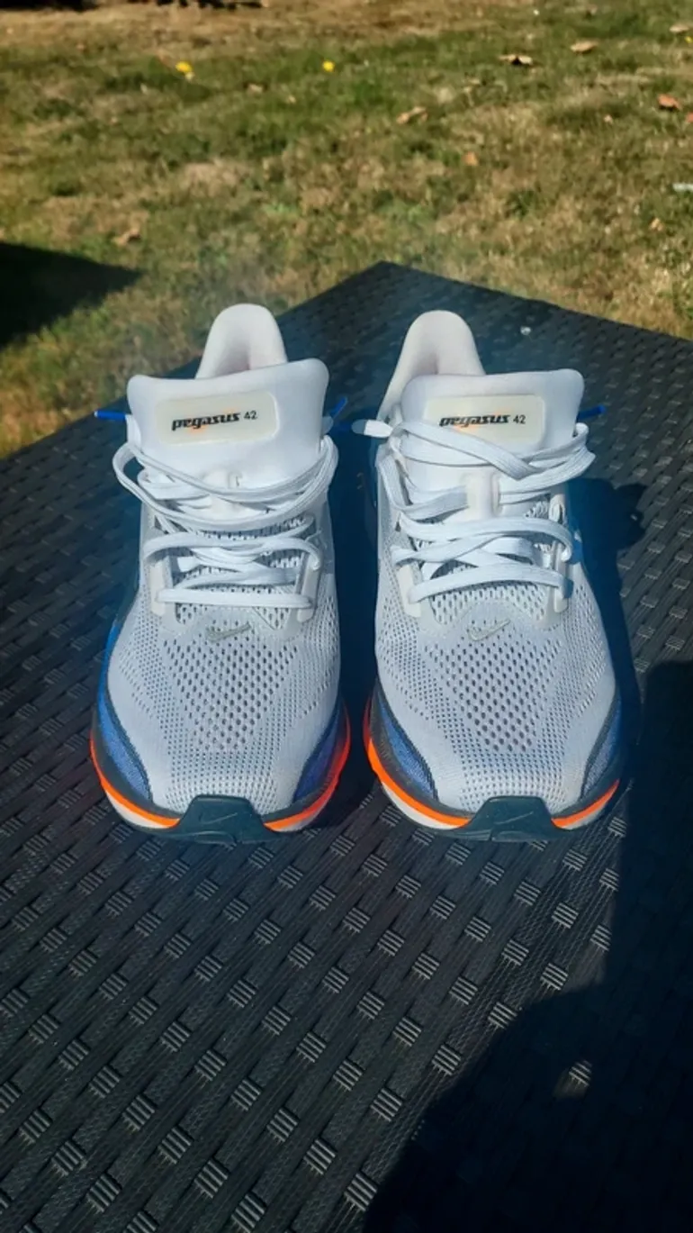 Used Pegasus Air Zoom 42 bike — image 2 of 6