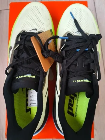 Used Pegasus Zoom 42 bike — image 2 of 5