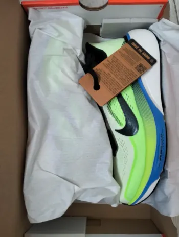 Used Pegasus Zoom 42 Running Shoes