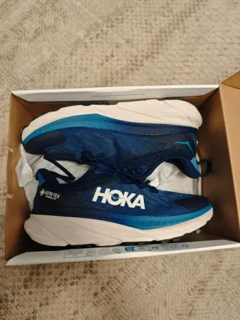 Used Hoka Challenger ATR 7 GTX Running Shoes