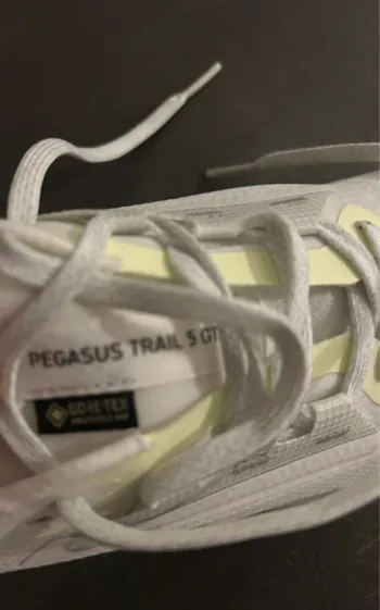 Brugt Pegasus 5gtx Running Shoes
