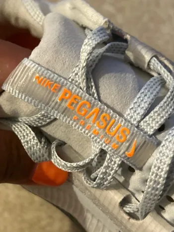 Pegasus Premium bike de segunda mano — imagen 9 de 15