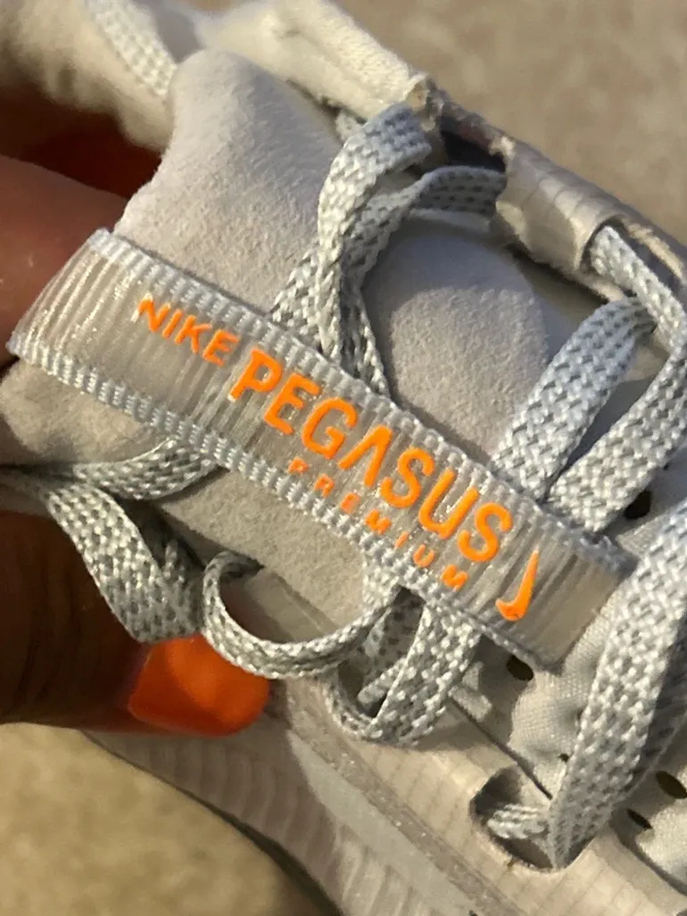 Pegasus Premium bike de segunda mano — imagen 9 de 15