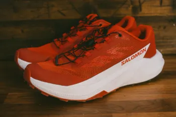 Gebrauchtes Salomon Pulsar Running Shoes