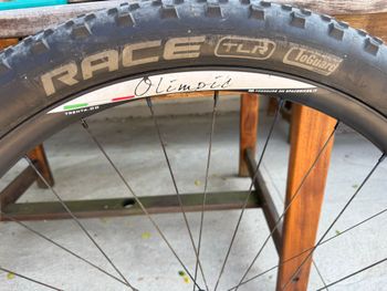 SPACEBIKES Spacecarbon Olimpic Wheels bike d'occasion — image 5 sur 5