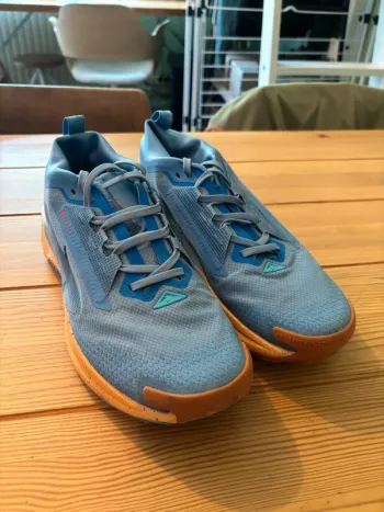 Used Nike Trail ATC Goretex Running Shoes