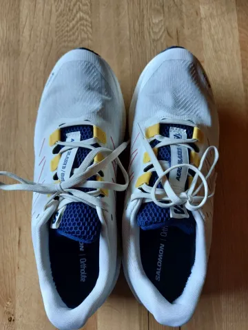 Salomon Aero Blaze 3 GTX GRVL Running Shoes usato