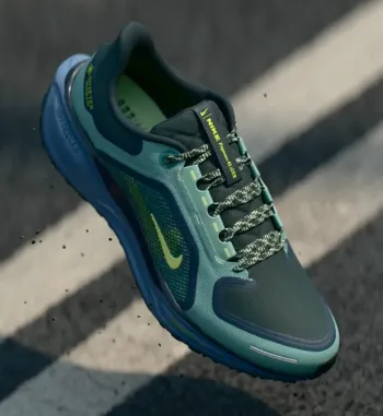 Brugt Pegasus 41 GTX Running Shoes