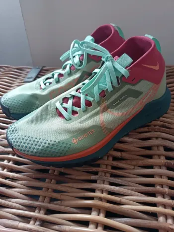 Pegasus Trail 4 Gore-Tex Running Shoes d'occasion
