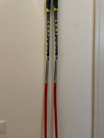 Używany Leki GS Poles Wintersport Accessories
