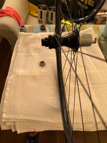 Brugt Miche Kleos 36 Carbon 2025 bike — billede 6 af 12