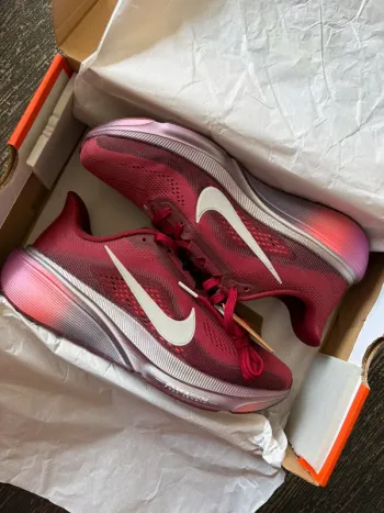 Used Pegasus 42 SE Running Shoes