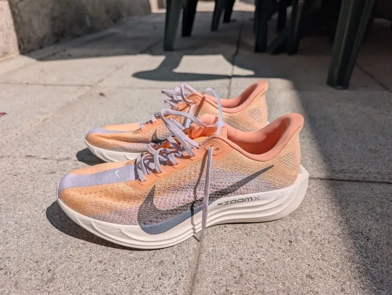 Used Pegasus Plus Running Shoes
