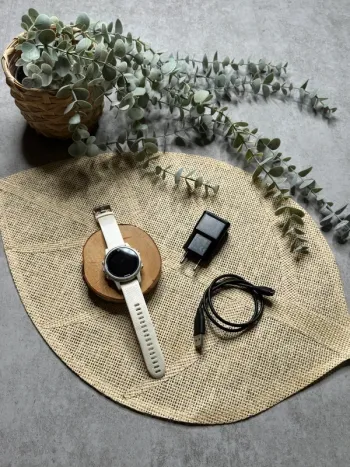 Used Garmin Fénix 5S Electronics