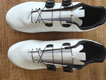 Brugt Northwave Revolution 2026 Cycling Shoes