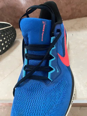 Pegasus 41 bike usato — immagine 4 di 4