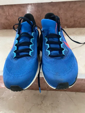 Pegasus 41 bike usato — immagine 2 di 4