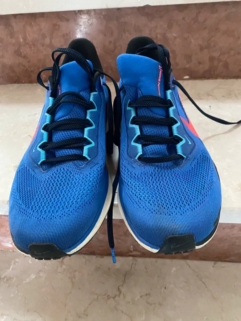 Pegasus 41 bike usato — immagine 2 di 4