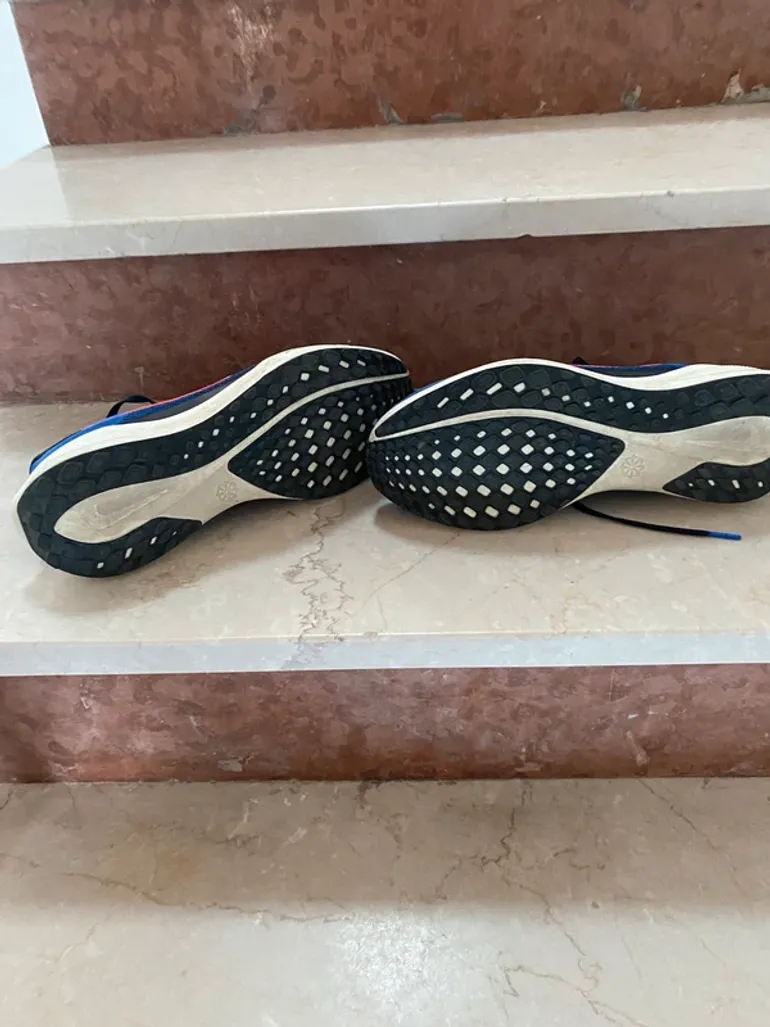 Pegasus 41 bike usato — immagine 3 di 4