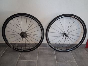Brugt Dt Swiss Ruote P 1800 Spline Wheels