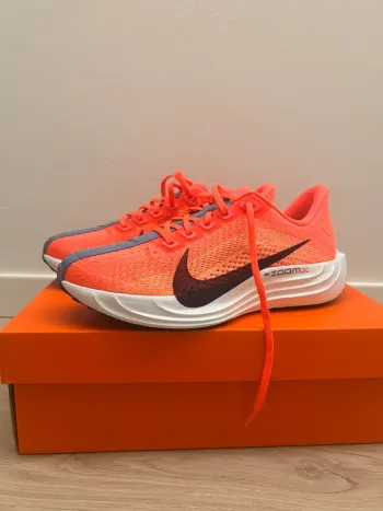 Used Pegasus Plus Running Shoes