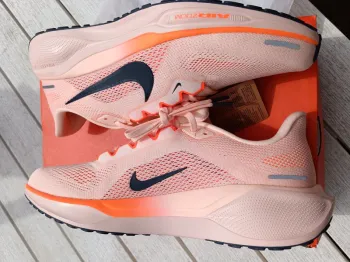 Pegasus 41 Running Shoes usato